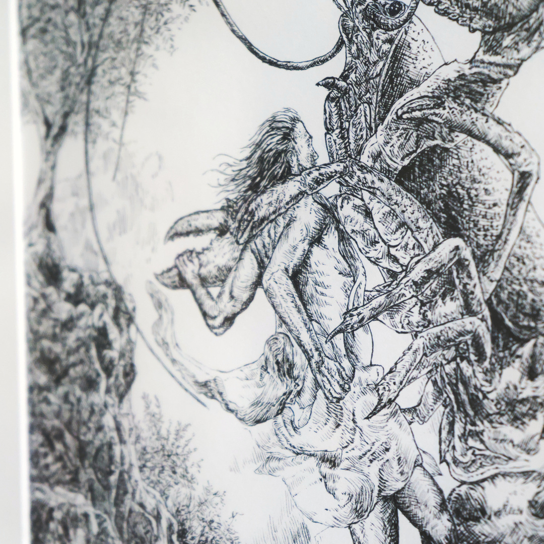 Le Homard de Némée – Image 2